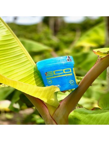 Eco Styler - Sport (Bleu)...
