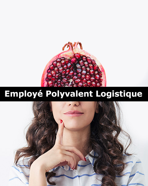 Employé(e) pollyvalent(e) logistique