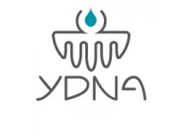YDNA
